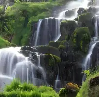 费尔汉·切廷卡亚