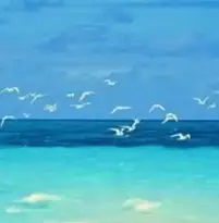 ‌Bích Phương‌